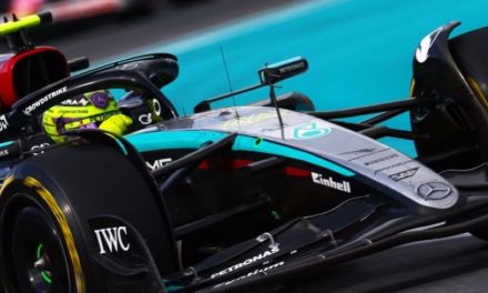 Hamilton nikad nije vidio da gume imaju tako minijaturan radni raspon