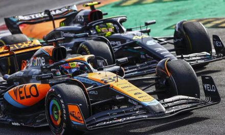 Stella: Hamilton je bio malo frustriran što nije mogao brzo preći Piastrija