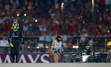 Hamilton je uzor i trebao je znati da ne smije slobodno šetati — Herbert