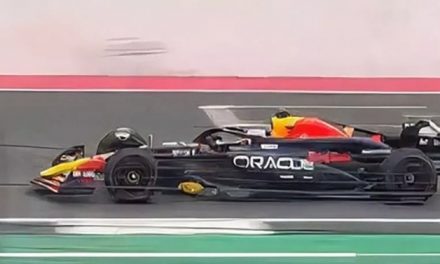 Procurile slike i video RB20