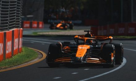 Stella: Piastri je napravio veliki iskorak prema naprijed, a ima još prostora za napredak