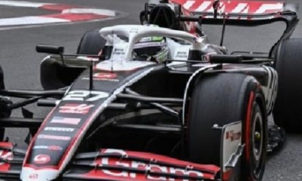 Haas krivi Hulka da nije bio dovoljno oprezan