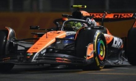 Norris: Imamo problema sa tempom na dugim stintovima