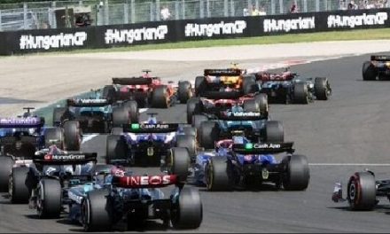 Faktori vezani za VN Mađarske