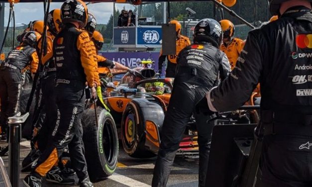 McLaren: Spori boksovi zbog ljudske greške? Softver za kontrolu je ispravan