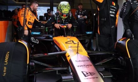 Prilagođene inovacije za Norrisa, a koje Piastri ne koristi